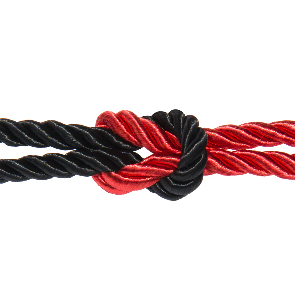 Cuerdas de restricción - Image 3